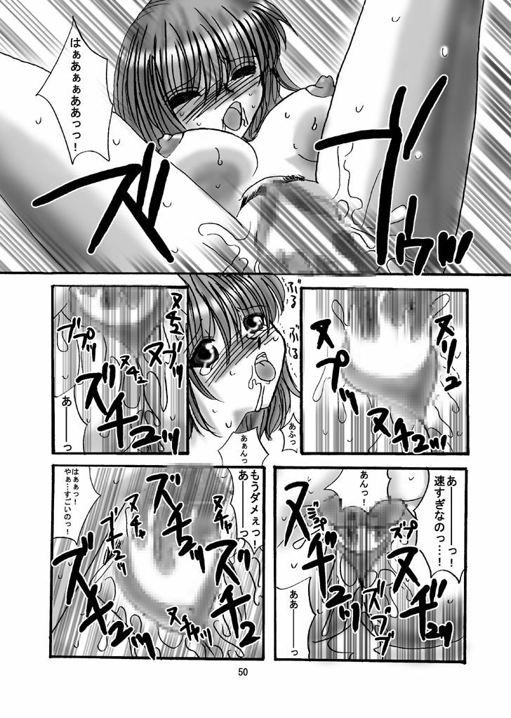 (C66) [Dark RoseEX-S (Hirooki)] JOB STAR 2 (Final Fantasy V) page 49 full