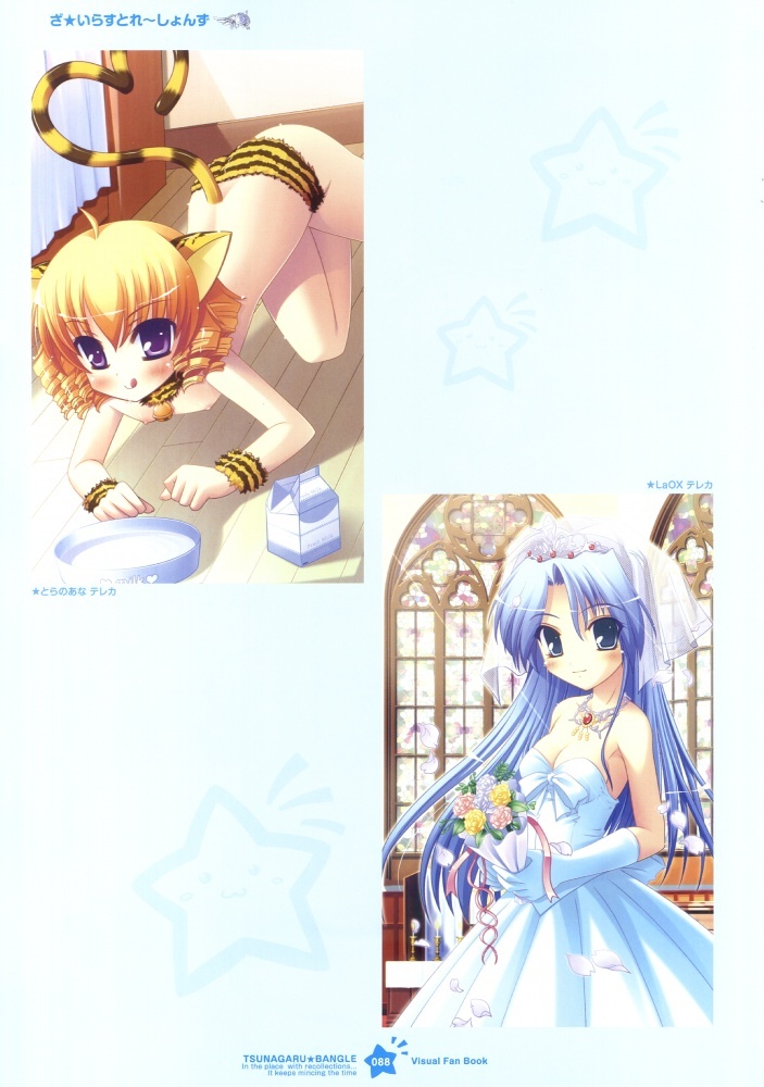 Tsunagaru Bangle - Visual Fan Book page 89 full