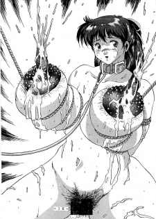 (C54) [White Elephant] Anice-sensei Kannou Shashinshuu (Sonic Soldier Borgman) - page 16