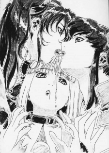 (C58) [STUDIO G-1 NEO (Various)] Mugen Kairou D-3 Gaiden (Dangaizer-3) - page 25