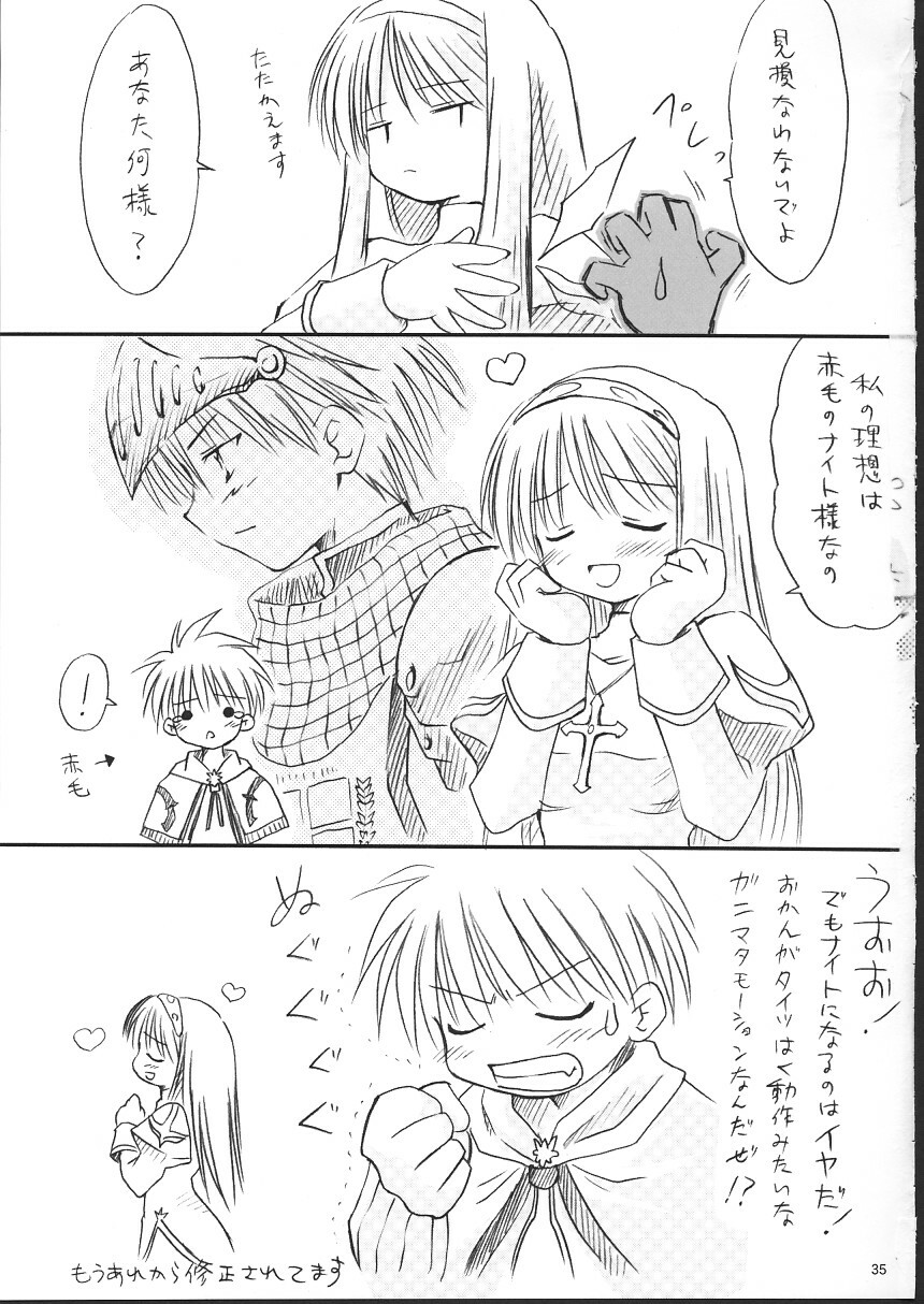 (C63) [Mizukidou (Mizuki Takehito)] Ragukuro (Ragnarok Online) page 34 full