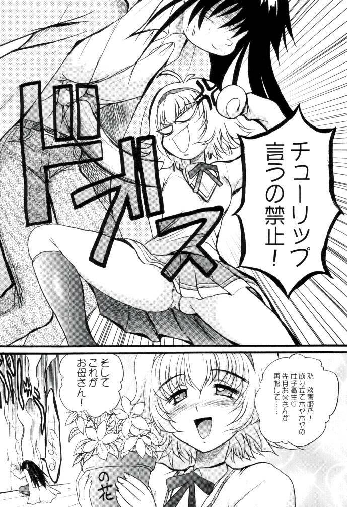 (C62) [Akahira Kirin (Akahira Kirin)] Bi TO 3 (Shin Shirayuki Hime Densetsu Pretear) page 4 full