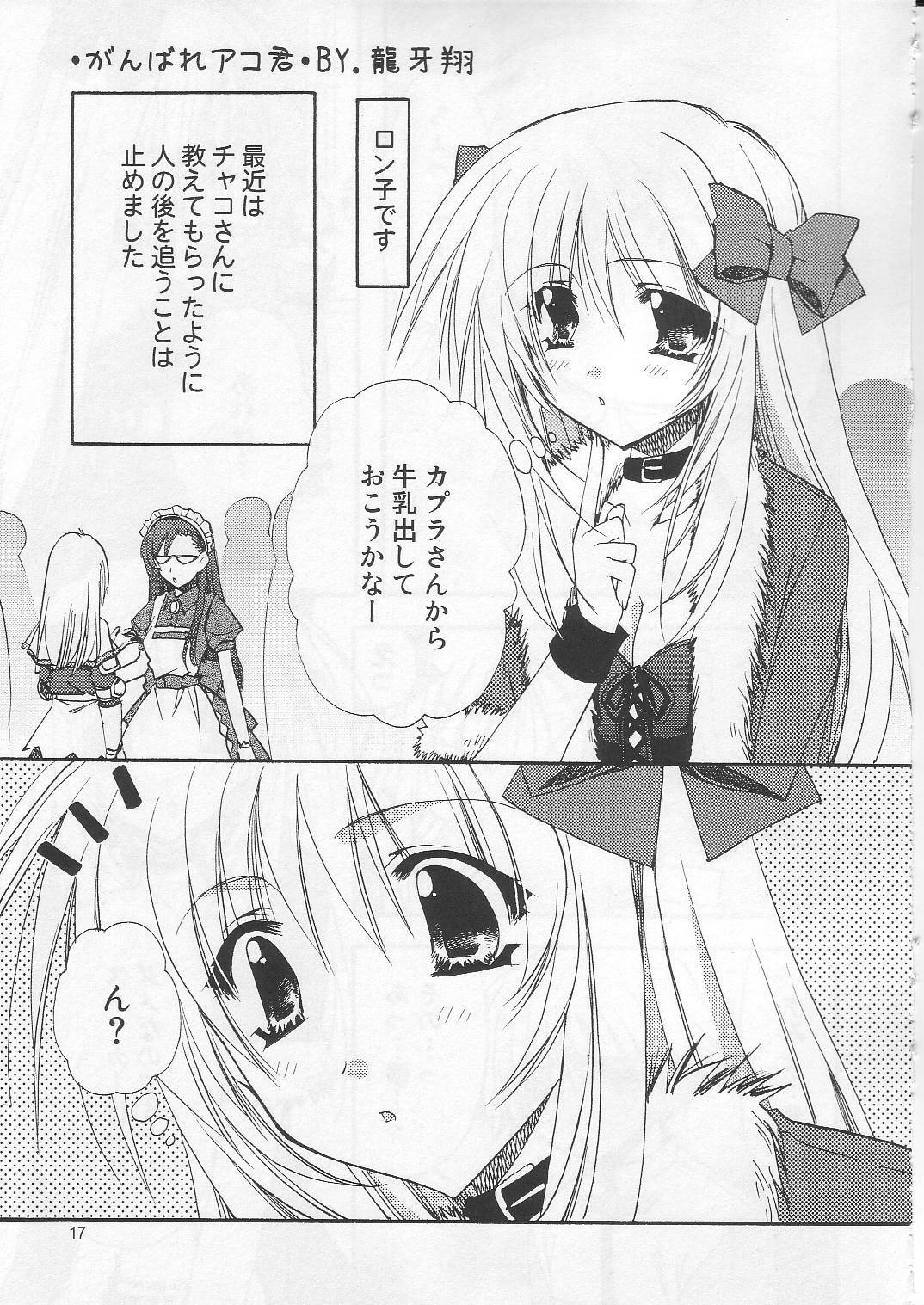 (C71) [Ryuu no Kinyoubi, Jiyou-Kyousou (Ryuga Syo, Nanjou Haruno)] JR04 (Ragnarok Online) page 16 full