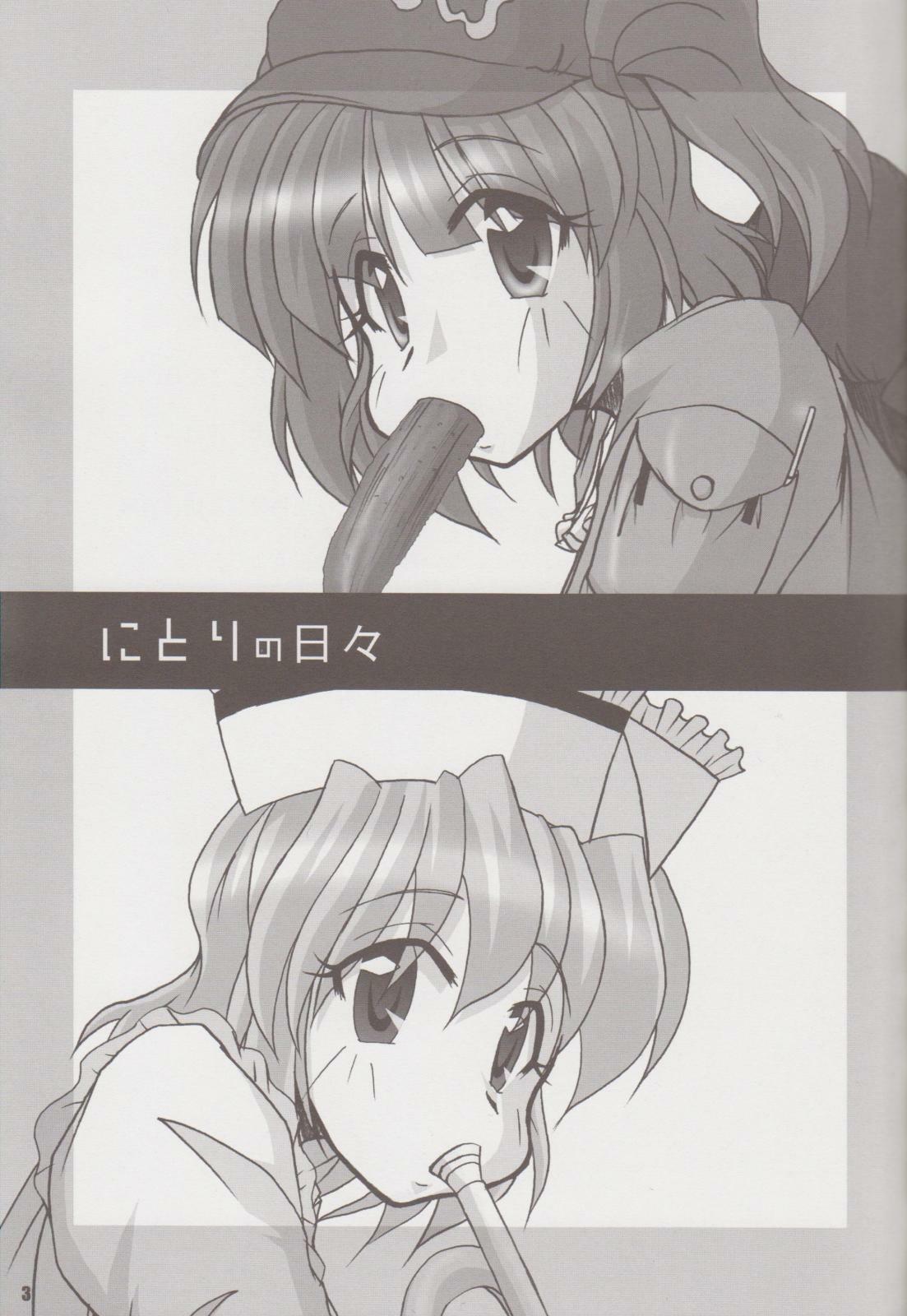[Yohitama] Nitori no Hibi (Touhou) page 2 full