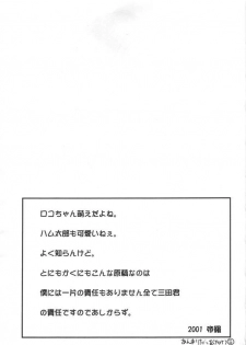 [Kansai Kemono Rengou] Kemonoke Tsuushin 11 - page 34