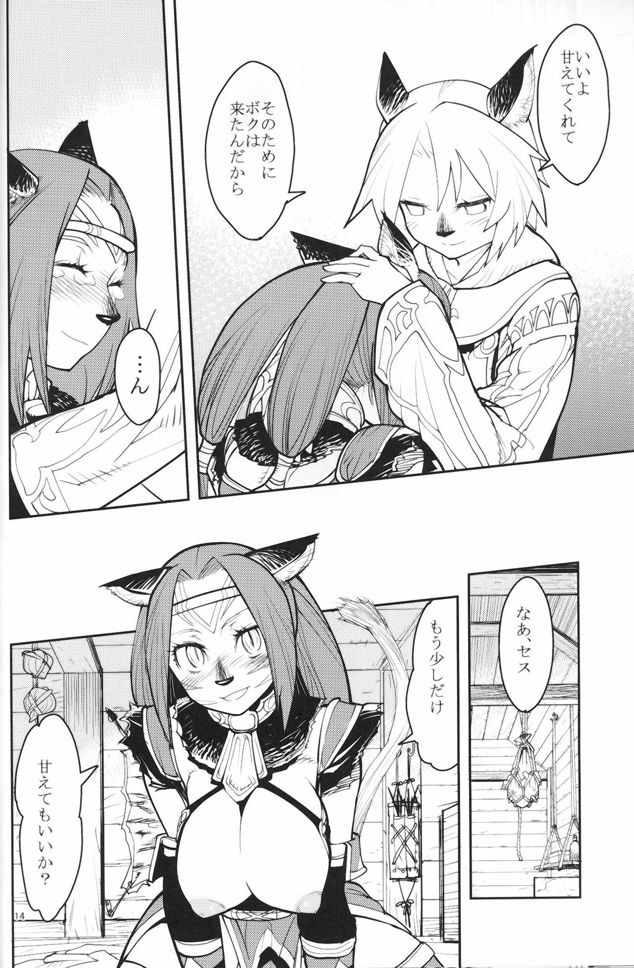 (C75) [Kuroshiki (Kurohiko)] Kuroshiki Vol. 7 (Final Fantasy XI) page 13 full