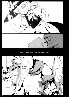 (COMIC1☆3) [Shimoyakedou (Nezumi, Ouma Tokiichi)] RED Ring (Touhou Project) [English] [desudesu] - page 10
