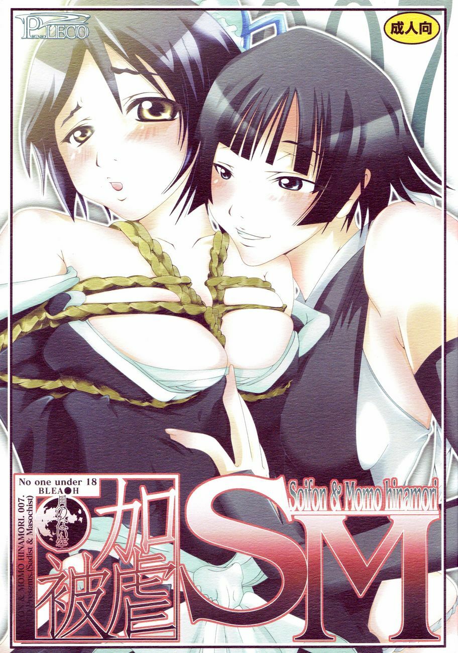 (CCOsaka61) [PLECO (Chikiko)] Kagyaku Higyaku ~Tsuki no nai Sora~ (BLEACH) page 1 full