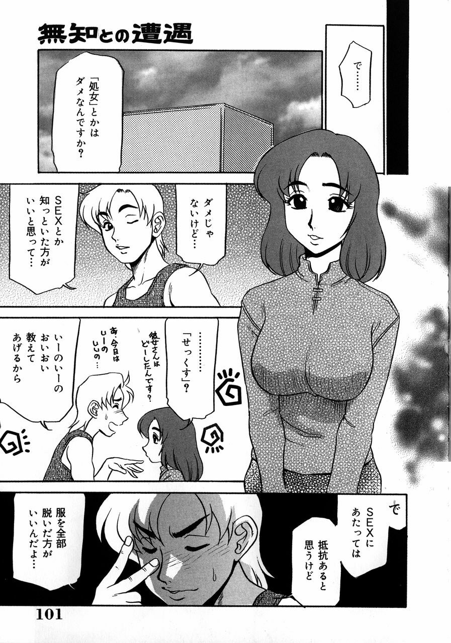 [Koshow Showshow] Kyonyuu Inran Choukyou ~Cathy no Sainan~ page 105 full