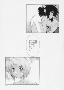 (C69) [GUST (Harukaze Soyogu)] Burning!! 2 (Mobile Suit Gundam SEED DESTINY) - page 20