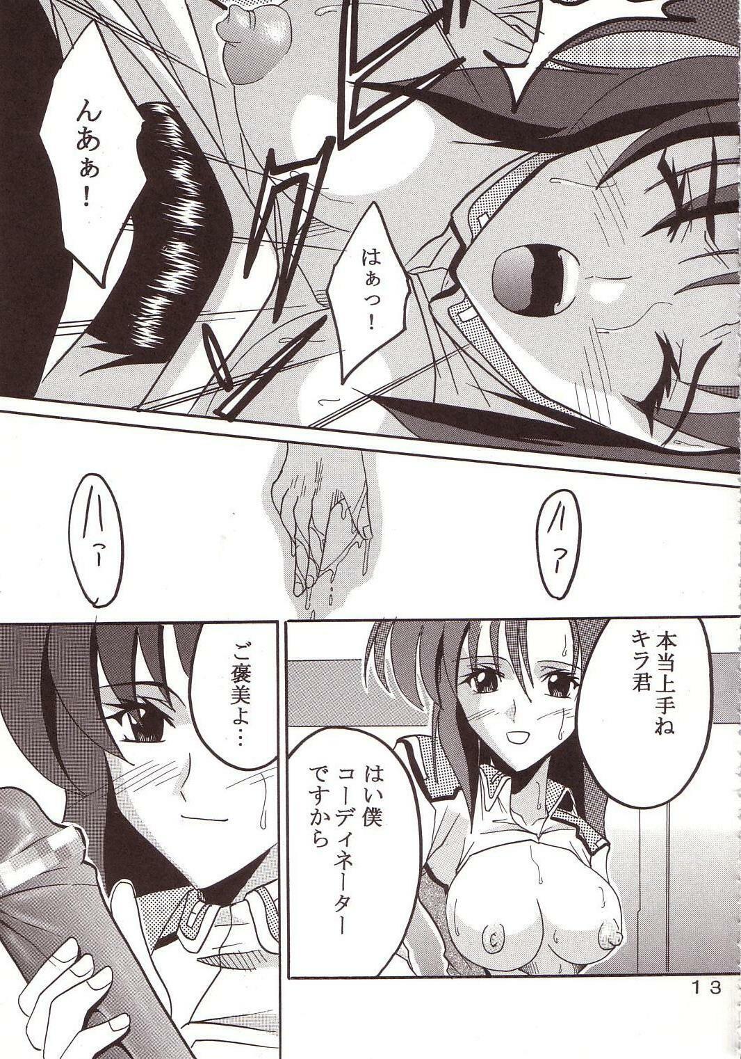 [St. Rio (Kitty, Ishikawa Ippei)] SEED 3 (Mobile Suit Gundam SEED) page 14 full