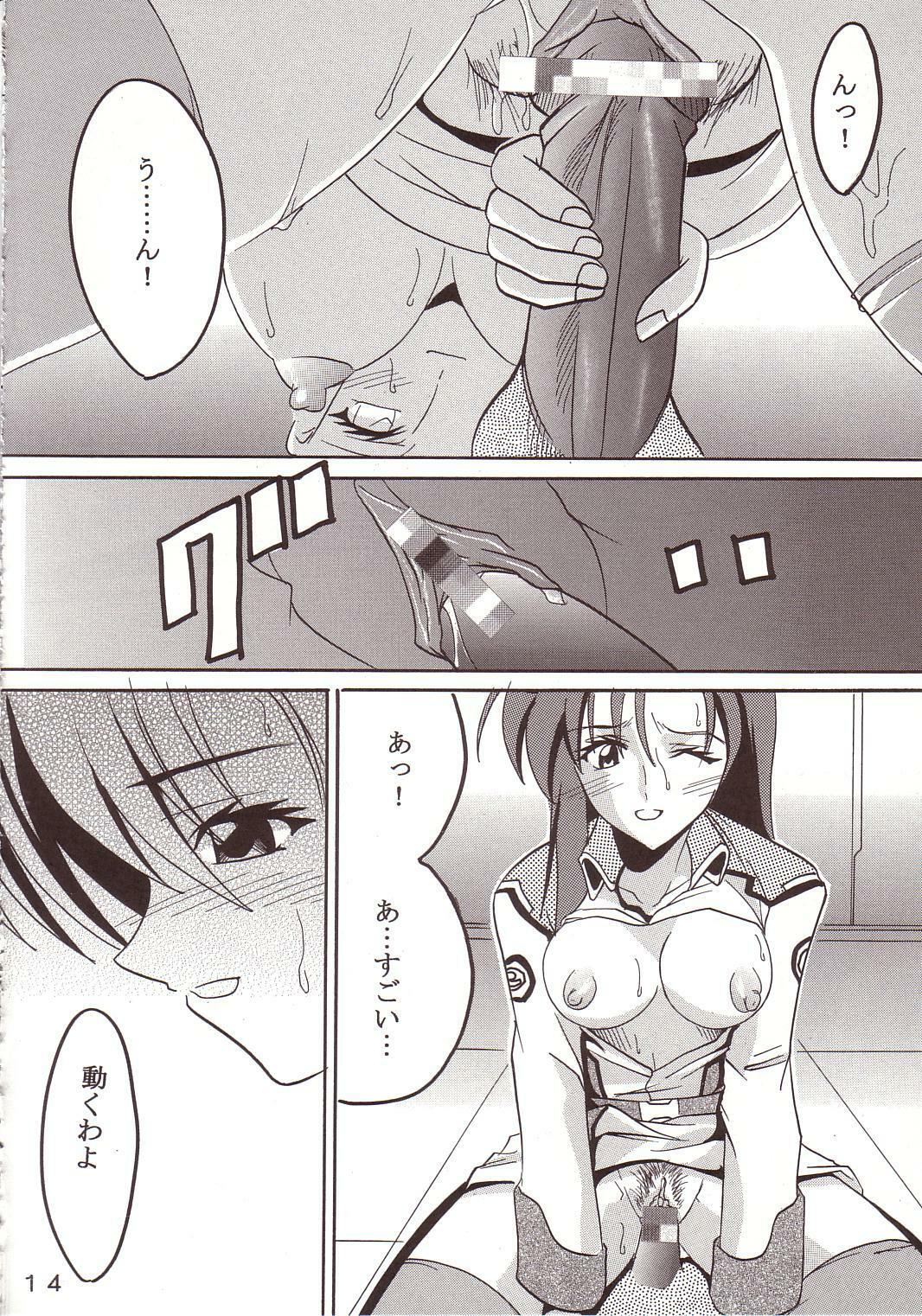 [St. Rio (Kitty, Ishikawa Ippei)] SEED 3 (Mobile Suit Gundam SEED) page 15 full