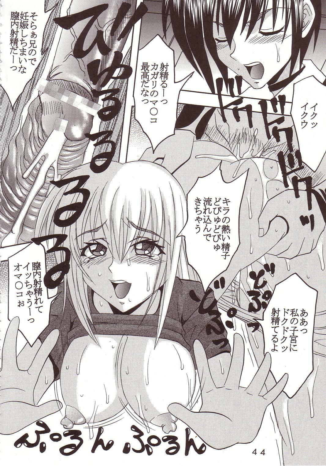 [St. Rio (Kitty, Ishikawa Ippei)] SEED 3 (Mobile Suit Gundam SEED) page 43 full