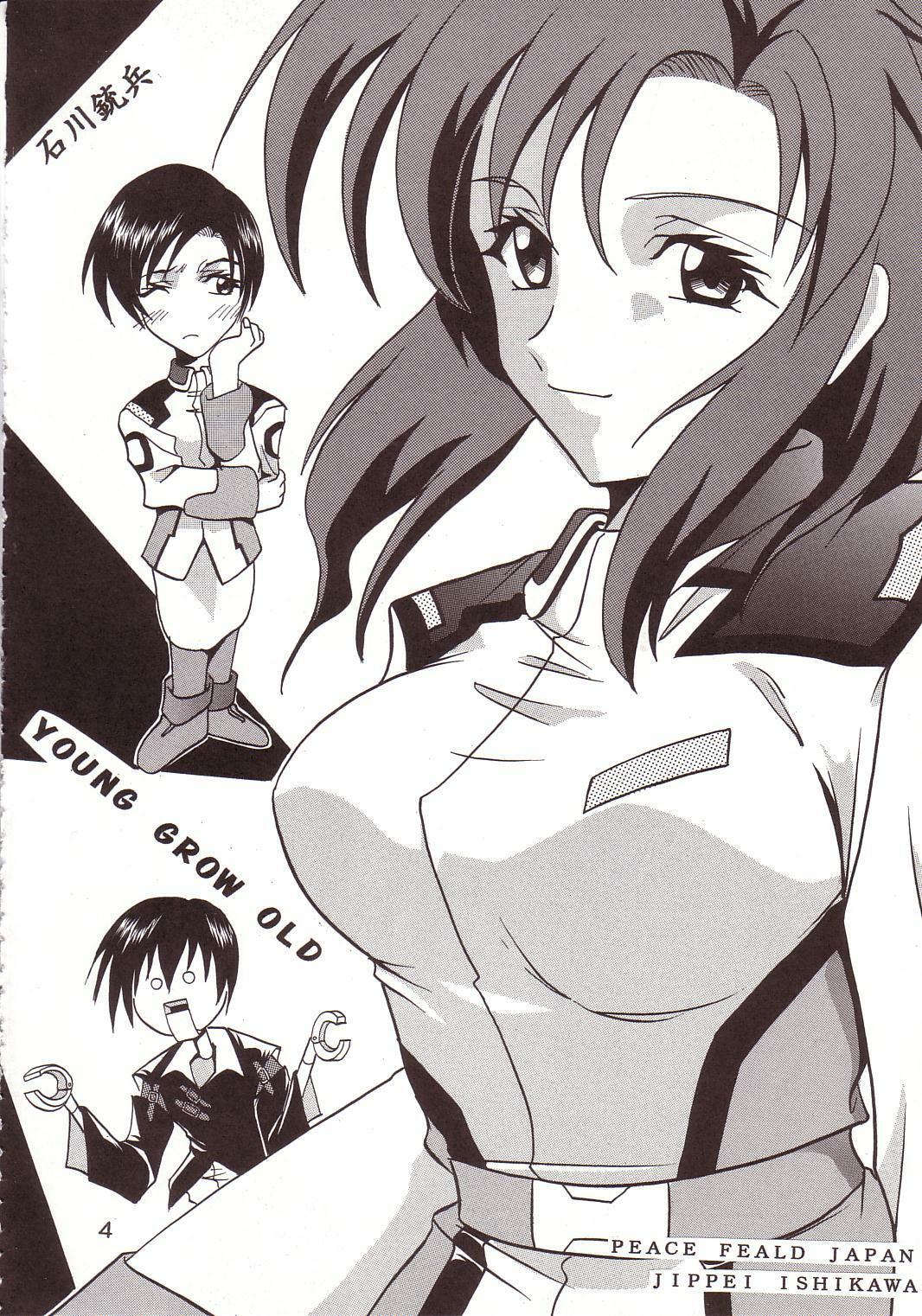 [St. Rio (Kitty, Ishikawa Ippei)] SEED 3 (Mobile Suit Gundam SEED) page 5 full