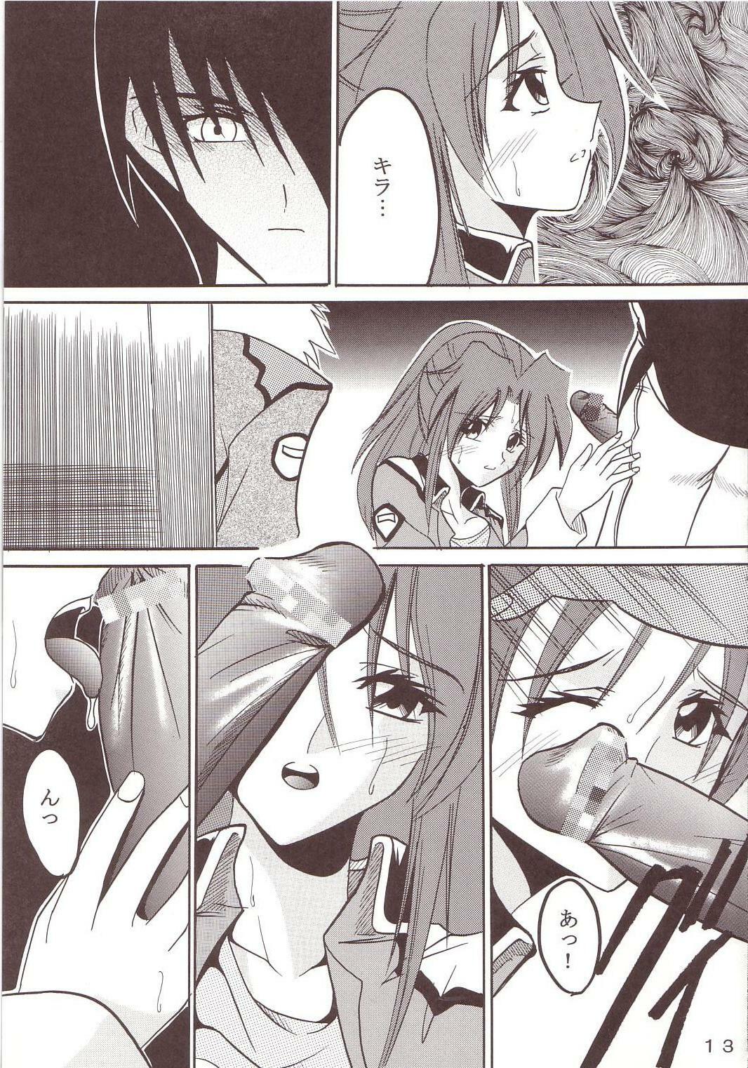 [St. Rio (Kichigai Teiou, Ishikawa Ippei)] SEED 2 (Mobile Suit Gundam SEED) page 14 full