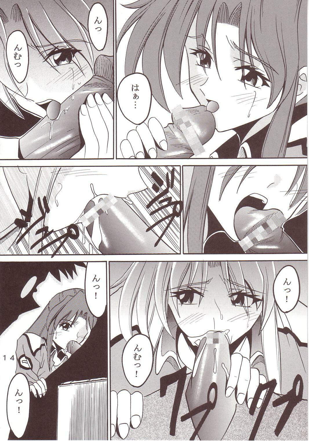 [St. Rio (Kichigai Teiou, Ishikawa Ippei)] SEED 2 (Mobile Suit Gundam SEED) page 15 full