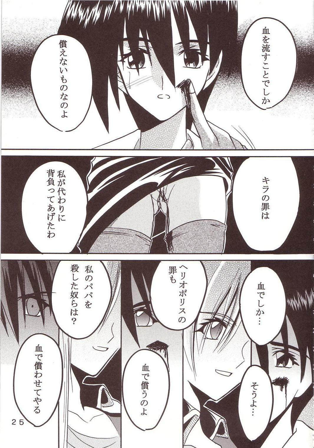 [St. Rio (Kichigai Teiou, Ishikawa Ippei)] SEED 2 (Mobile Suit Gundam SEED) page 26 full