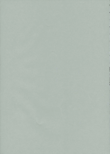 (C68) [HIGHLAND-STUDIO (Ueno Naoya)] GIRLS CAPRICCIO 9 (Gundam SEED) - page 34