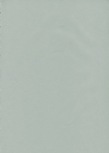 (C68) [HIGHLAND-STUDIO (Ueno Naoya)] GIRLS CAPRICCIO 9 (Gundam SEED) - page 35