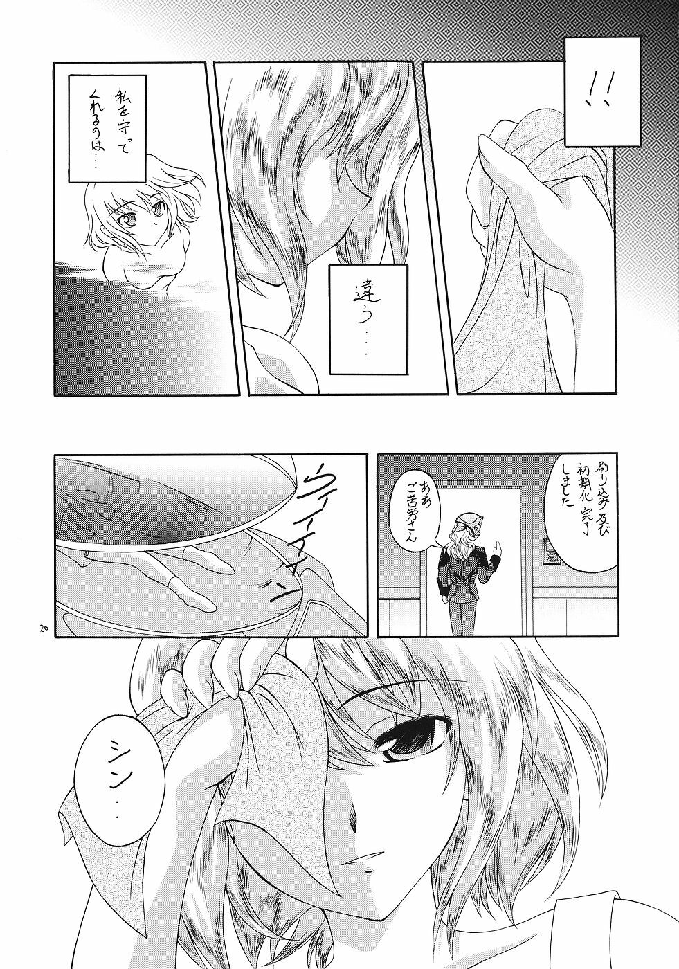 (CR37) [Red Ribbon Revenger (Various)] Flying Dragon (Gundam Seed Destiny) page 19 full