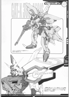 (SC19) [Abellcain, OVACAS (Fujimaru Arikui, Hirokawa Kouichirou)] Rotation (Gundam SEED) - page 29