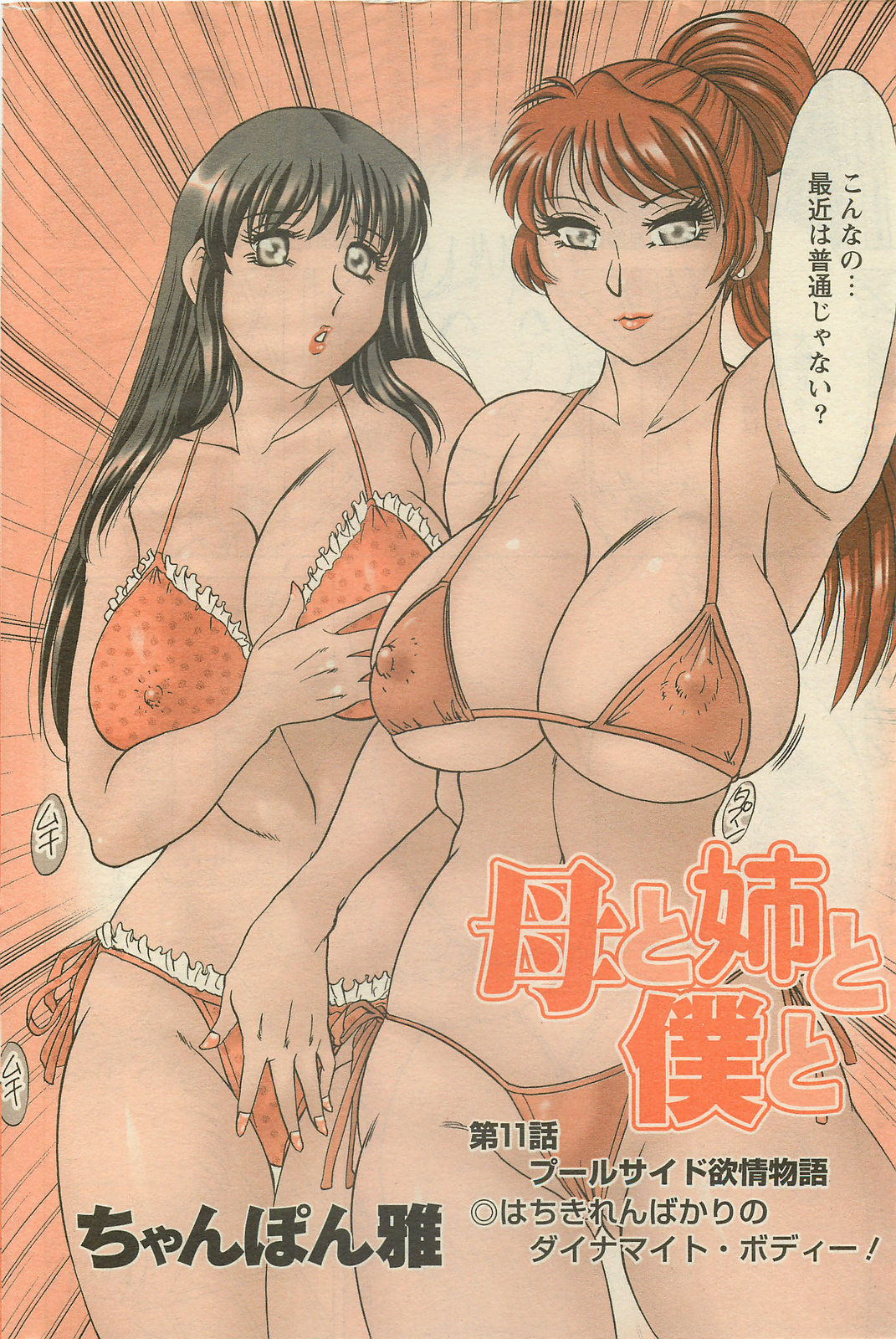 Action Pizazz DX 2008-08 page 208 full