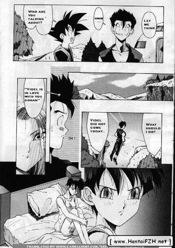 [DBZ] Carpe Diem (English) page 13 full