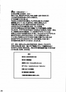 (C68) [Bakuretsu Fusen (Denkichi)] Burst!! Vol.3 (Mobile Suit Gundam SEED DESTINY) - page 33