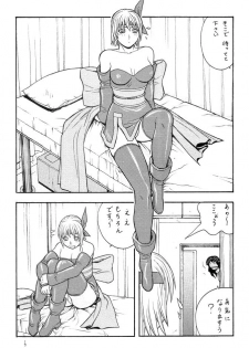 (C61) [From Japan (Aki Kyouma)] FIGHTERS GIGAMIX FGM Vol.14 (Dead or Alive) - page 5