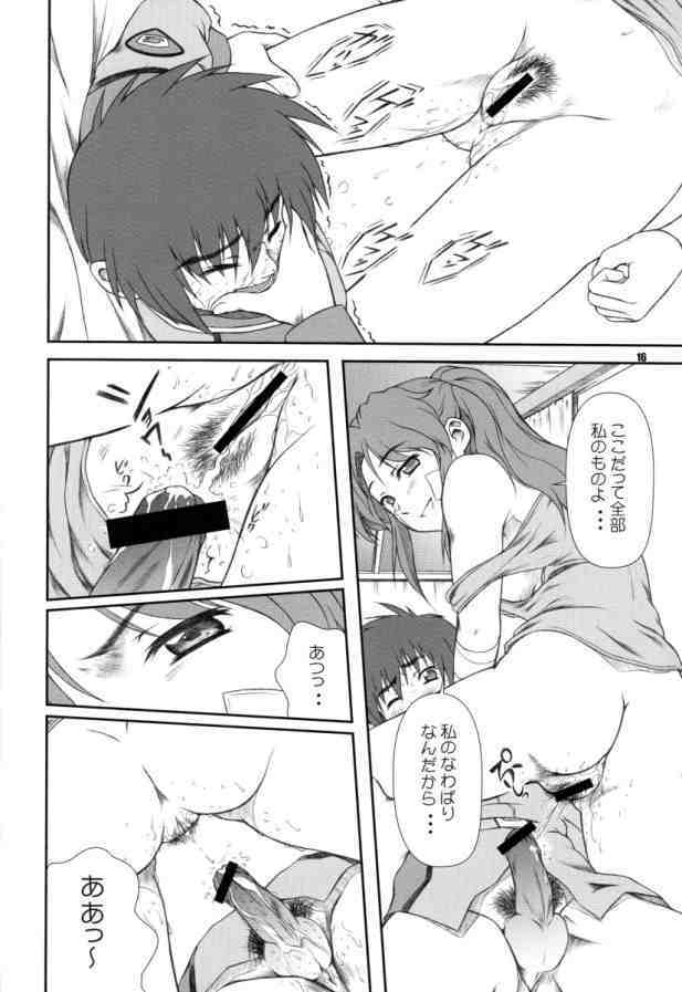 [Otogiya (Mizuki Haruto)] Battle of Twins ~Ketsumatsu no Kizuna~ (Gundam Seed) page 15 full