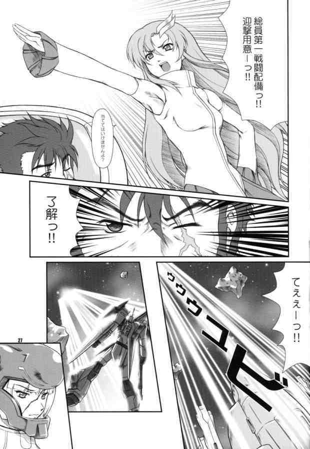[Otogiya (Mizuki Haruto)] Battle of Twins ~Ketsumatsu no Kizuna~ (Gundam Seed) page 26 full