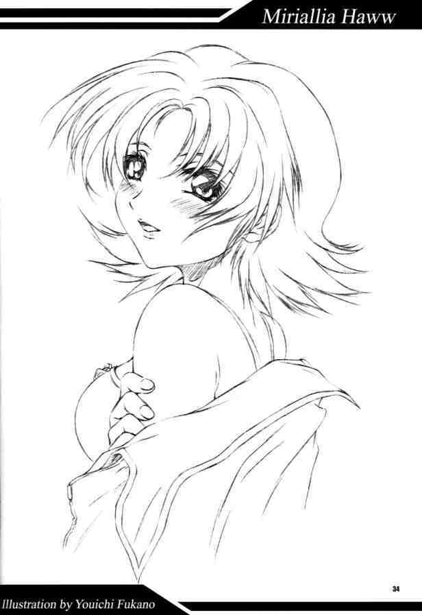 [Otogiya (Mizuki Haruto)] Battle of Twins ~Ketsumatsu no Kizuna~ (Gundam Seed) page 33 full