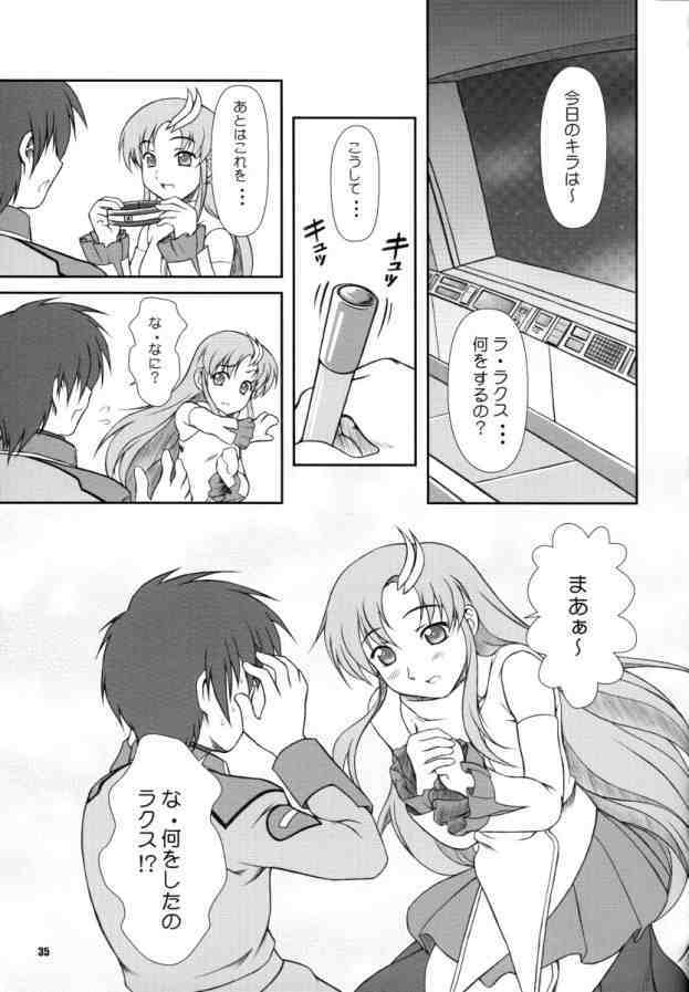 [Otogiya (Mizuki Haruto)] Battle of Twins ~Ketsumatsu no Kizuna~ (Gundam Seed) page 34 full