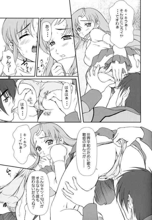 [Otogiya (Mizuki Haruto)] Battle of Twins ~Ketsumatsu no Kizuna~ (Gundam Seed) page 36 full