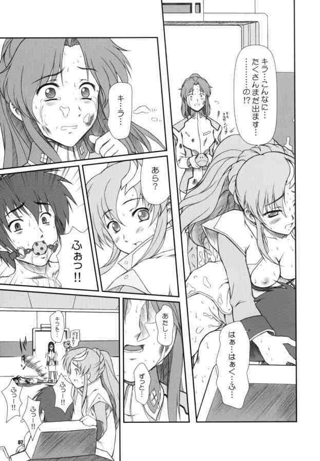 [Otogiya (Mizuki Haruto)] Battle of Twins ~Ketsumatsu no Kizuna~ (Gundam Seed) page 6 full