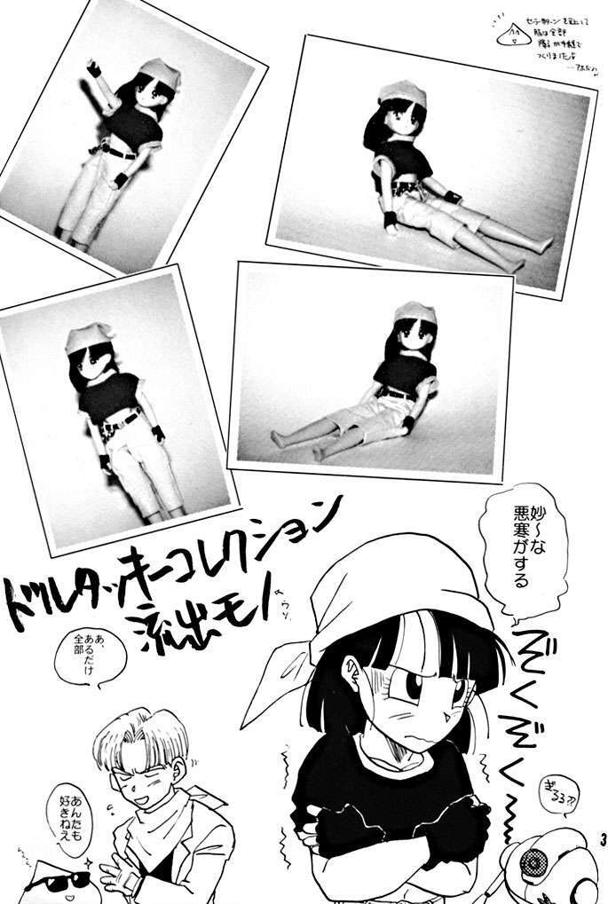 (C51) [Chirigami Goya, Fusuma go Ten (Shoji Hariko)] ZZZ (DRAGON BALL) page 3 full