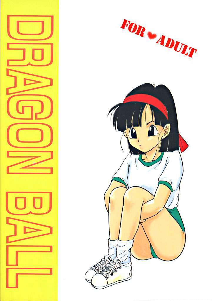 (C51) [Chirigami Goya, Fusuma go Ten (Shoji Hariko)] ZZZ (DRAGON BALL) page 43 full