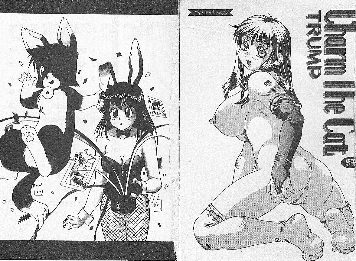 [TRUMP] Charm The Cat 1 [Chinese] page 2 full