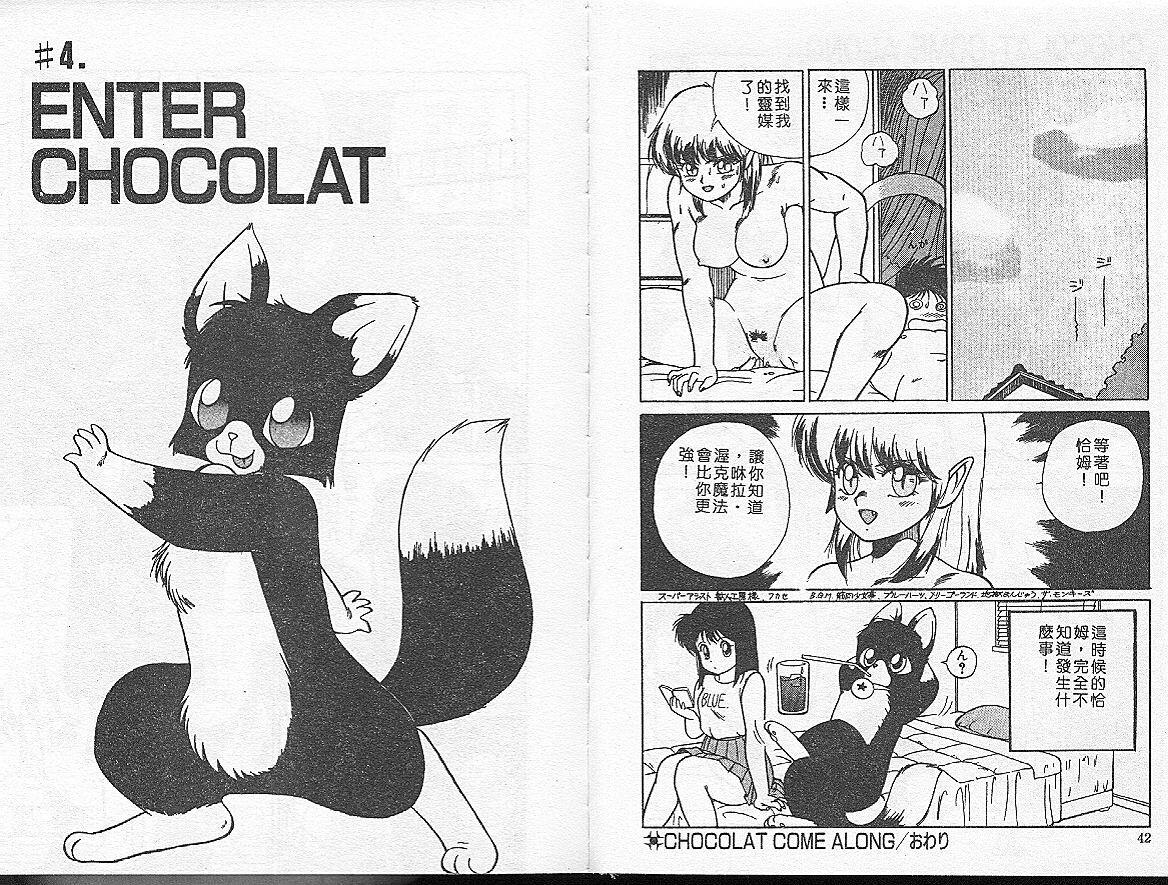 [TRUMP] Charm The Cat 1 [Chinese] page 21 full