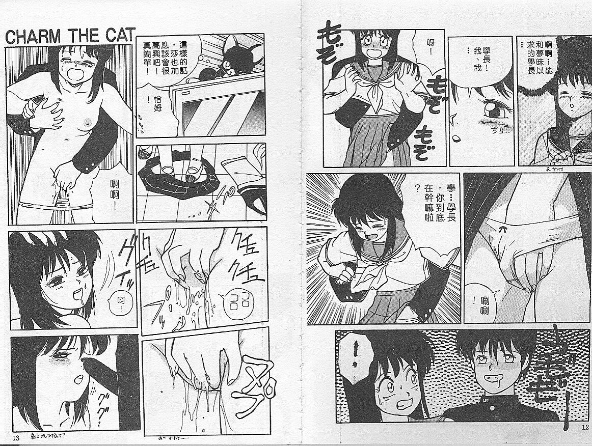 [TRUMP] Charm The Cat 1 [Chinese] page 6 full