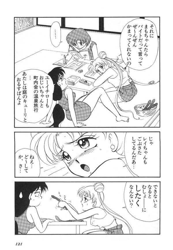 [Anthology] Lunatic Party 6 (Sailor Moon) page 122 full
