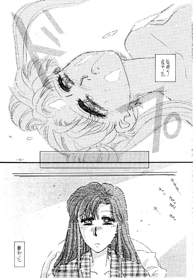 (C45) [METAL (Various)] MODEL SPECIAL (Various) page 74 full