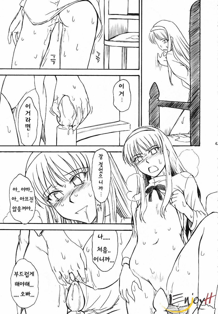 (C63) [MOON RULER (Tsukino Jyogi)] Moon Ruler Laboratory 2002 Winter (Tsukihime) [Korean] [EnjoyH] page 43 full