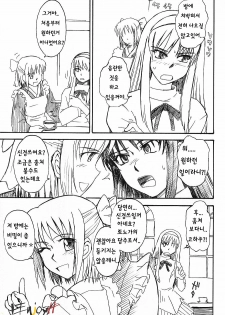 (C63) [MOON RULER (Tsukino Jyogi)] Moon Ruler Laboratory 2002 Winter (Tsukihime) [Korean] [EnjoyH] - page 19