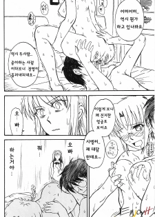 (C63) [MOON RULER (Tsukino Jyogi)] Moon Ruler Laboratory 2002 Winter (Tsukihime) [Korean] [EnjoyH] - page 22