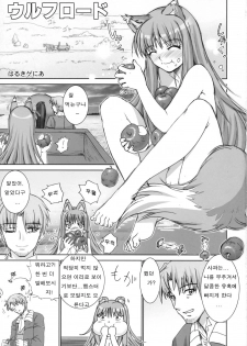 (SC38) [Raijinkai (Haruki Genia)] Wolf Road | 울프로드 (Spice and Wolf) [Korean] - page 2