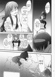 (MOON PHASE 2nd Stage) [MOON RULER (Tsukino Jyogi)] Sotsukiyo Sono 2 (Tsukihime) [Korean] - page 30