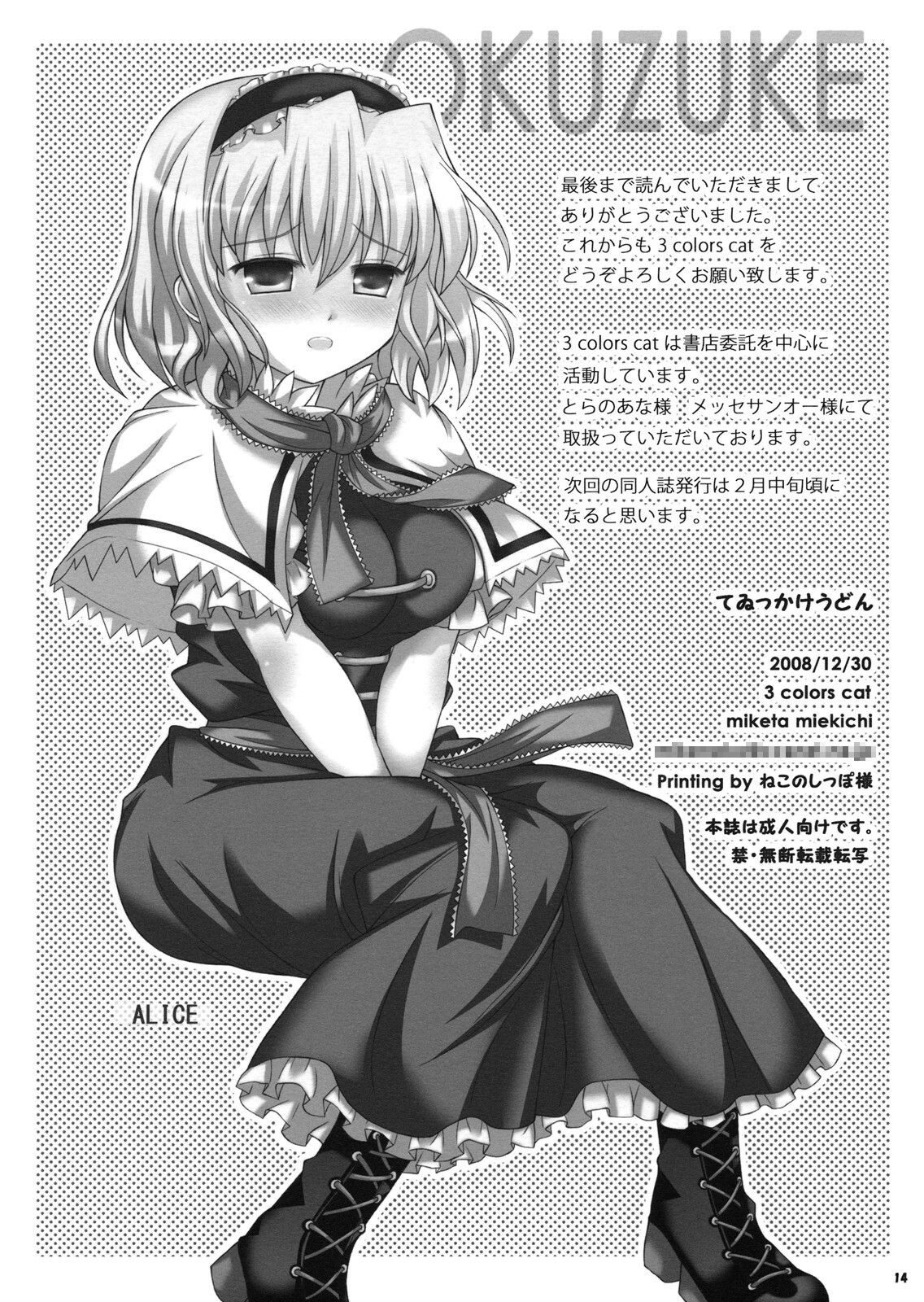 (C75) [3 colors cat (Miketa Miekichi)] Teikkakeudon (Touhou Project) page 14 full