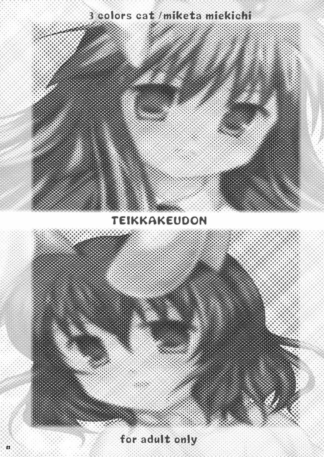 (C75) [3 colors cat (Miketa Miekichi)] Teikkakeudon (Touhou Project) page 3 full