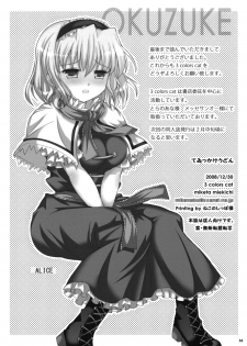 (C75) [3 colors cat (Miketa Miekichi)] Teikkakeudon (Touhou Project) - page 14